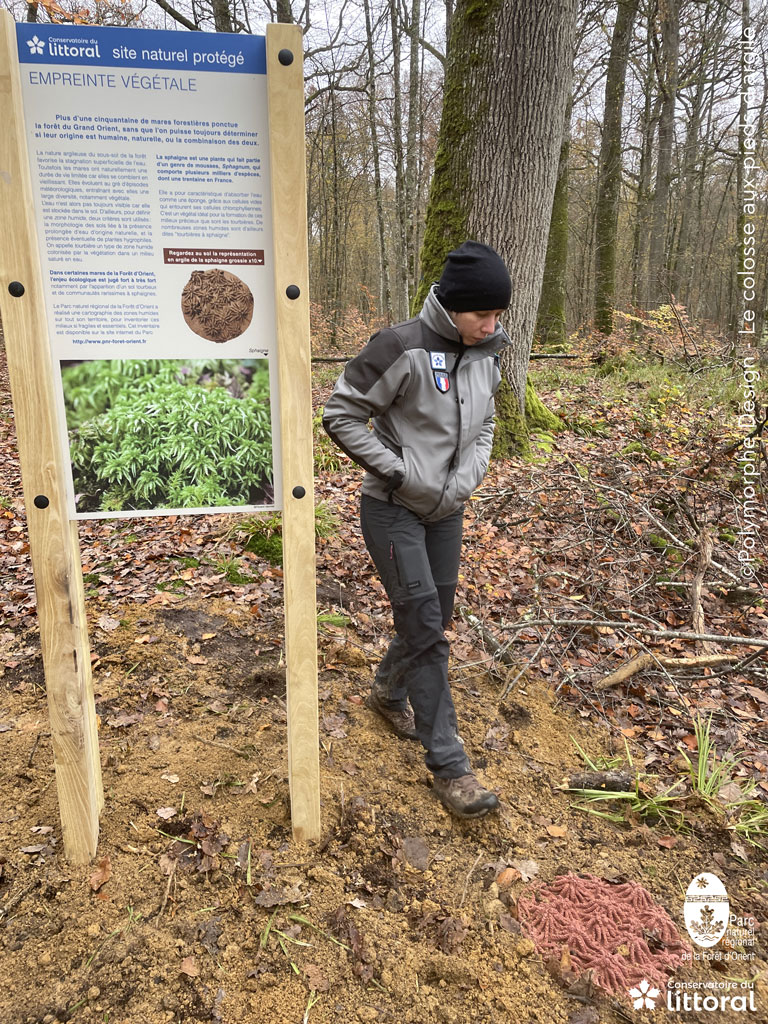 Un panneau d'interpr&eacute;tation et au sol, la c&eacute;ramique d'une sphaigne.